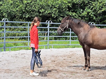 Linda Uttley EquiCoaching, Centre de Bien-Etre à Saint-Agathon