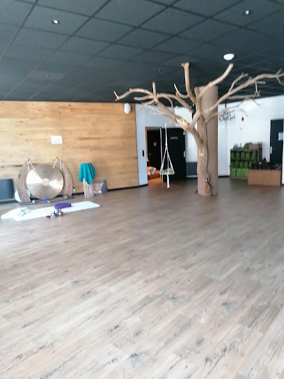 Cours de Qi Gong, Centre de Bien-Etre à Rodez