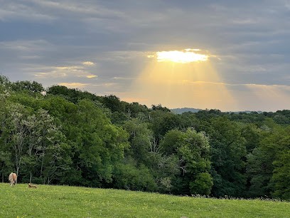 Jeûne Elfique, Centre de Bien-Etre à Ustaritz