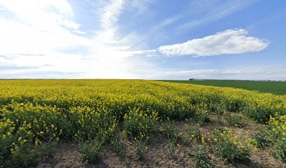 Avec Soi m'Aime - Centre de Bien-être en Réflexologie Plantaire ~ Reiki ~ Hypnose et Techniques de Bien-être, Centre de Bien-Etre à Saint-Memmie