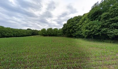 Du Bien Naître Au Bien Être, Centre de Bien-Etre à Rives