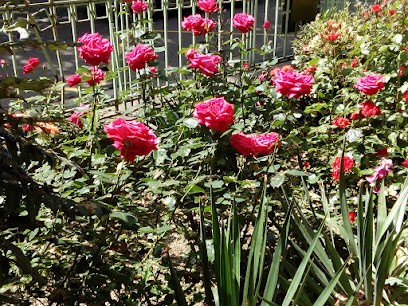 Docteur Laetitia AMANS Cabinet De Psychothérapie Adultes, Centre de Bien-Etre à Metz