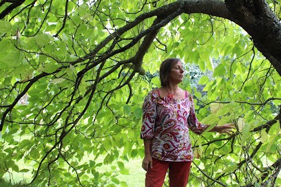 Hélène TOURAT, Centre de Bien-Etre à Plogonnec