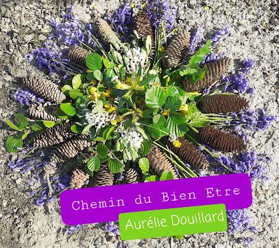 Magnétisme Energéticienne Aurélie Douillard Chemin Du Bien-Être, Centre De Bien-Être à Saint-Hilaire-de-Clisson