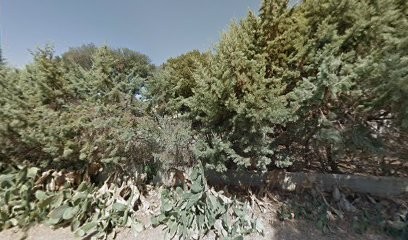 VIE Programme, Centre de Bien-Etre à Cournonterral