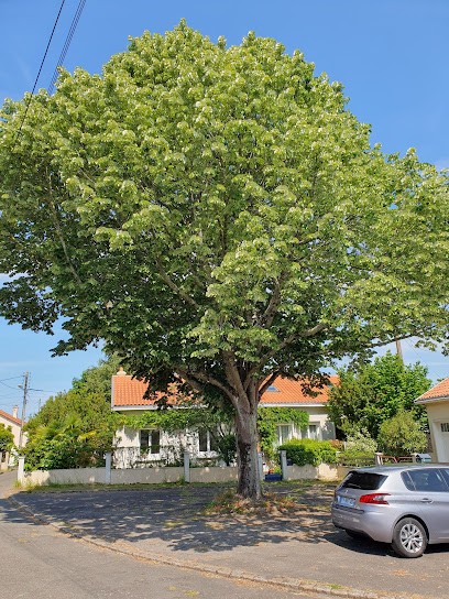 Shiatsu Nantes Pascal Royer, Centre de Bien-Etre à Rezé