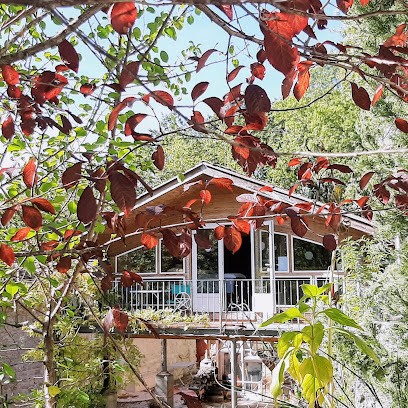 Chalet Du Bouscaillou - Jeûne Et Remise En Forme, Centre de Bien-Etre à Montaigu-de-Quercy