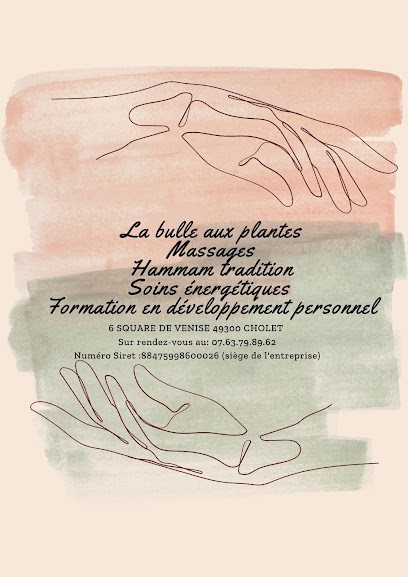 La bulle aux plantes médicinales(Leeli l'énergéticienne), Centre de Bien-Etre à Cholet