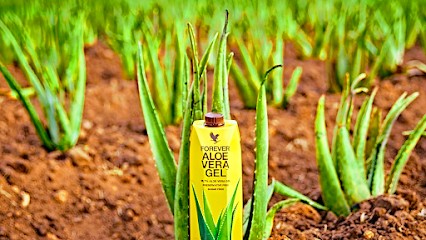 Aloe Vera Forever Paris, Centre de Bien-Etre à Paris 13