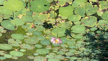 AU COIN DU SAULE, Centre de Bien-Etre à Sommières