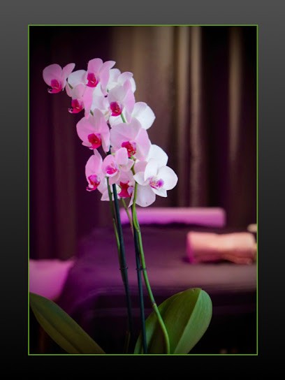 Lâcher Prise En Harmonie, Centre de Bien-Etre à Luynes