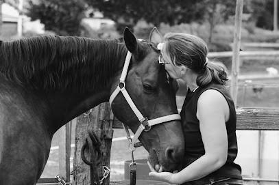 L'Écrin de Valeur - Marjorie Gabriel - Sophrologue - Thérapeute avec le cheval, Centre de Bien-Etre à Saint-Gilles-de-la-Neuville