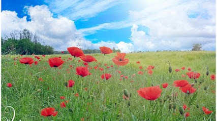 Christel Cottenot Sophrologue, Centre de Bien-Etre à Dijon