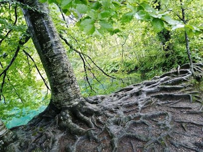Libération Émotionnelle Et Soin énergétique à Labaroche, Centre de Bien-Etre à Labaroche