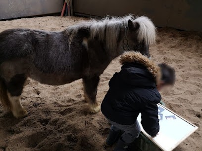 Caroline Moret Equithérapie 77 - 91, Centre de Bien-Etre à Saint-Germain-sur-École