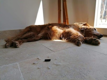 Écuries Les Clés Du Tao : Centre De Bien-Être Pour Humains Et Animaux, Centre de Bien-Etre à Puyvert