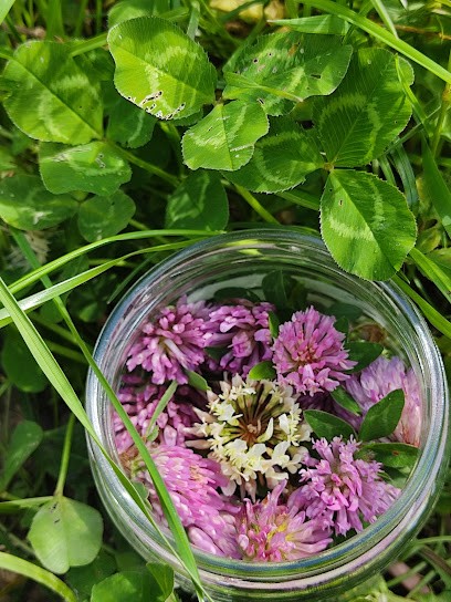 Les Fleurs d'Amande, Centre de Bien-Etre à Gigny