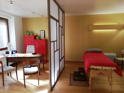 Sarah DREUX-Energétique Chinoise-Massage Tuina-Massage Chi nei Tsang, Centre de Bien-Etre à Bourgoin-Jallieu