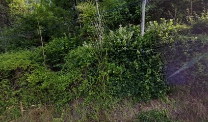 MA CURE DETOX, Centre de Bien-Etre à Objat