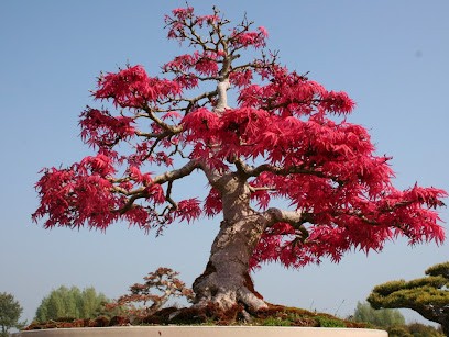 Elodie LE TALLEC Sophrologue, Centre de Bien-Etre à Miramas