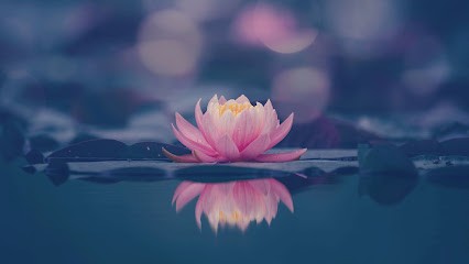 Omnisciences, Centre de Bien-Etre à Sélestat