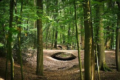 Segunda Garcia-Fouqué Sophrologue _ Bien-être 33 - Sophrologie existentielle, Centre de Bien-Etre à Blanquefort