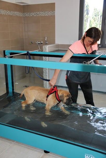 Centre Canin Hydro Training, Centre de Bien-Etre à Châteaurenard