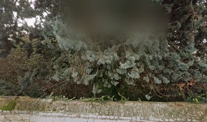 Cabinet Ludivine Lithotherapie Et Energies, Centre de Bien-Etre à Criquebeuf-sur-Seine