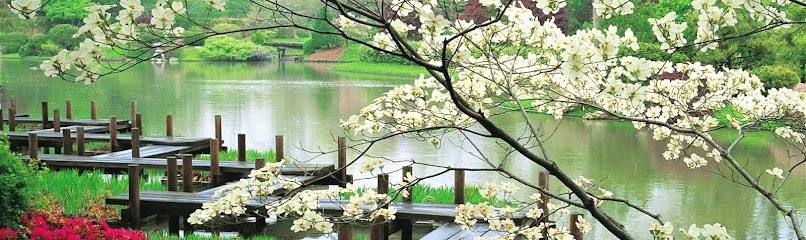 Tai Chi Brest Au Cours de Lo, Centre de Bien-Etre à Brest
