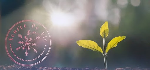 Manger Sainement - Source De Vie Coaching, Centre de Bien-Etre à La Léchère