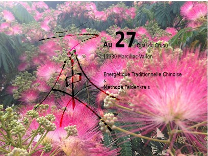 Energétique Traditionnelle Chinoise Marcillac-vallon, Centre de Bien-Etre à Marcillac-Vallon