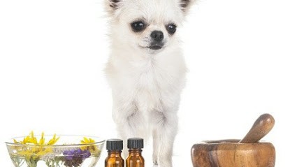 CH, Centre de Bien-Etre à Looze