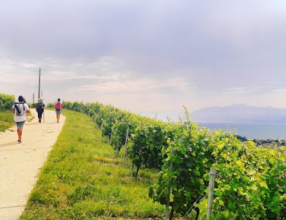 ESSENTIEL' LEMAN - Organisation de stages Detox et Vitalité en frontière suisse, Centre de Bien-Etre à Divonne-les-Bains