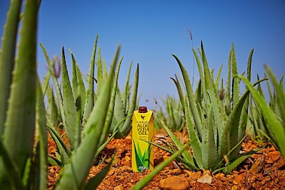 ALOE VERA Forever Sarthe Le Mans Didier, Centre de Bien-Etre à Moncé-en-Belin