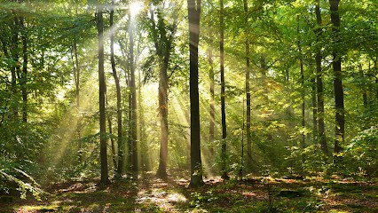 Guillaume Dolpierre, Centre de Bien-Etre à Rouen