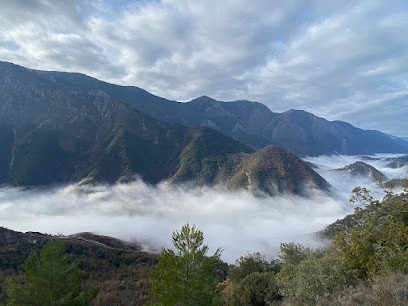 VEDICARE AYURVEDA - Centre De Bien-être , Produits Ayurvédiques Naturels, Centre de Bien-Etre à Tournefort