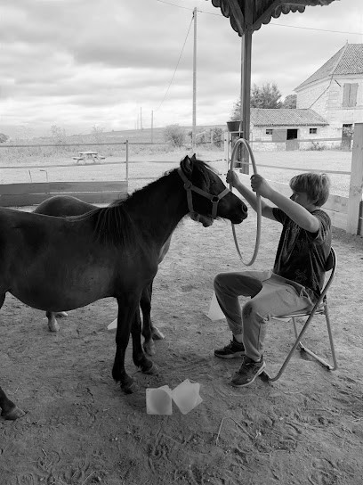 Alchimie Des Colombes, Centre de Bien-Etre à Mouterre-Silly