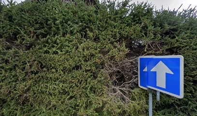 BIEN ETRE MAGNETISEUSE SOPHROLOGUE COACH THERAPIE PAR L'ANIMAL, Centre de Bien-Etre à Saint-Bonnet-en-Champsaur