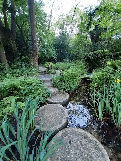 Un Chemin Vers Soi Soin énergétique Et Massage, Centre de Bien-Etre à Mauléon