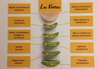 ENJOY ALOE VERA, Centre de Bien-Etre à Lattes