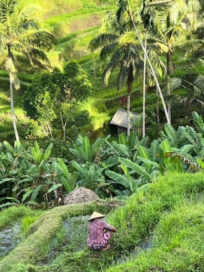 Ubud Bien-Être, Centre de Bien-Etre à Saint-Aubin-sur-Mer