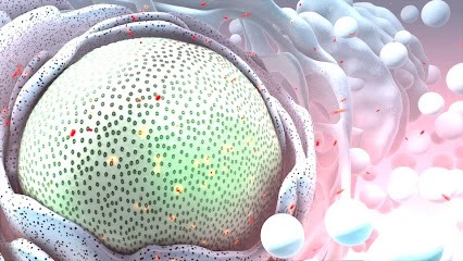 Alavida888, Centre de Bien-Etre à Saint-Cyr-sur-Loire