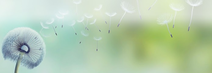 Quintessence, Centre de Bien-Etre à Toulouse