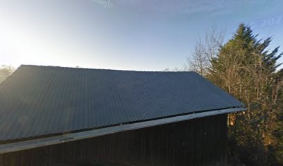 Vitalyne-bienetre Naturopathie Coaching, Centre de Bien-Etre à Beauregard-et-Bassac