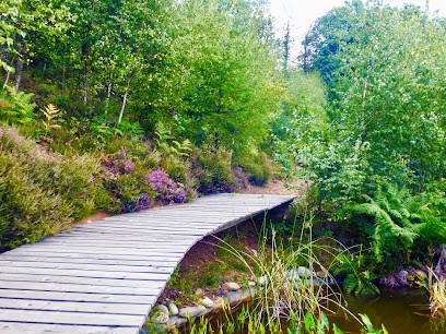 Yoéva Jemelgo, Centre de Bien-Etre à Chenailler-Mascheix