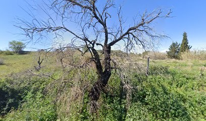 Fée Des Mains, Centre de Bien-Etre à Cuxac-d'Aude
