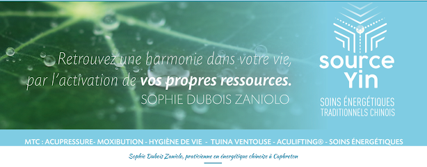 Source Yin | Énergétique Chinoise À Capbreton - Sophie Zaniolo, Centre De Bien-Être à Capbreton