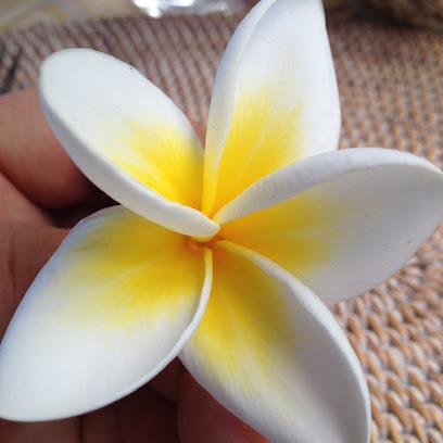 Thierry Massage Bien-être, Centre de Bien-Etre à Cusset