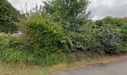 Pétillez Avec L'Aloe, Centre de Bien-Etre à Saint-Avé