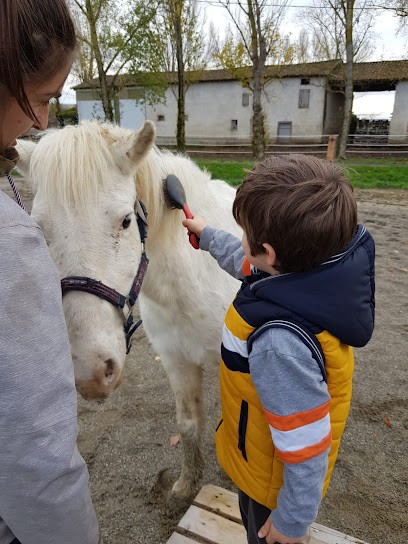 Equi'Terra81/Equithérapie - FONT Caroline, Centre de Bien-Etre à Palleville